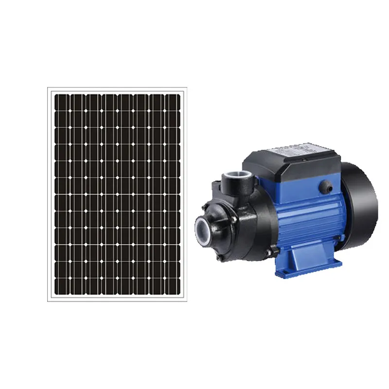 12V/24V 브러시 모터 방식의 태양광 수영장 물 펌 - Solar Irrigation Pump 12V 리뷰 및 가격
