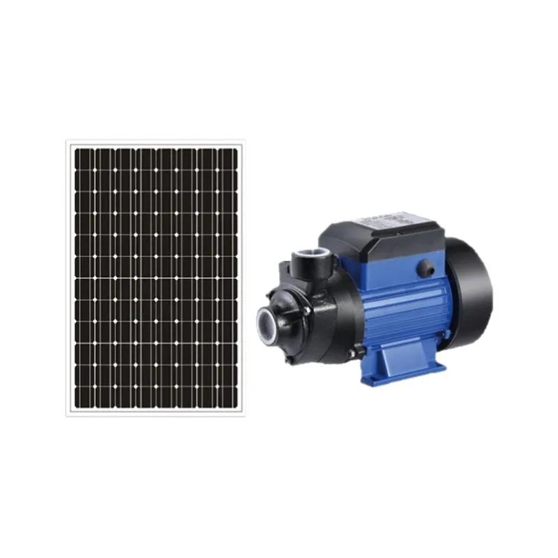 12V/24V 브러시 모터 방식의 태양광 수영장 물 펌 - Solar Irrigation Pump 12V 리뷰 및 가격