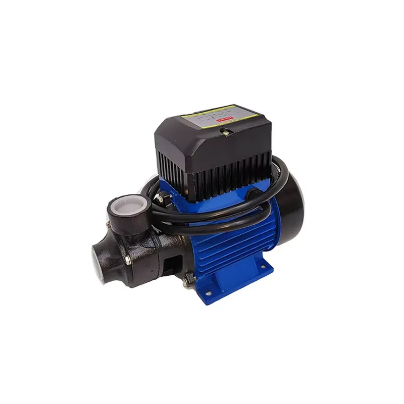12V 180W QB60 브러시 DC 태양광 표면형 미 - Solar Irrigation Pump 12V 리뷰 및 가격