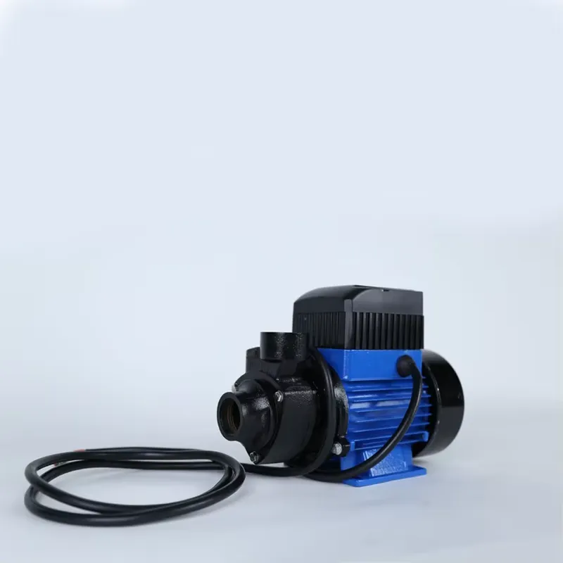 12V 180W QB60 브러시 DC 태양광 표면형 미 - Solar Irrigation Pump 12V 리뷰 및 가격