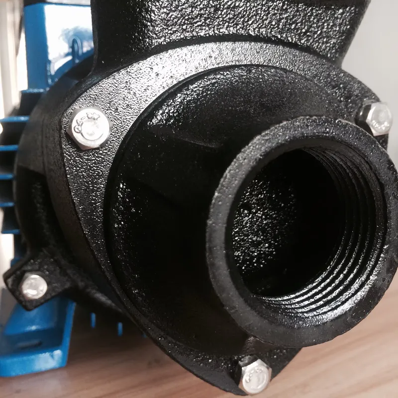 12V 180W QB60 브러시 DC 태양광 표면형 미 - Solar Irrigation Pump 12V 리뷰 및 가격